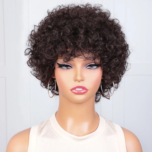 180D Curly Wig 100% Human Hair Wigs For Women With Big Bouncy Hair 8 Inch Afro Curly Wigs Pixie Cut Wig Brazilian Remy Hair